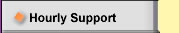 Hourly Support Options
